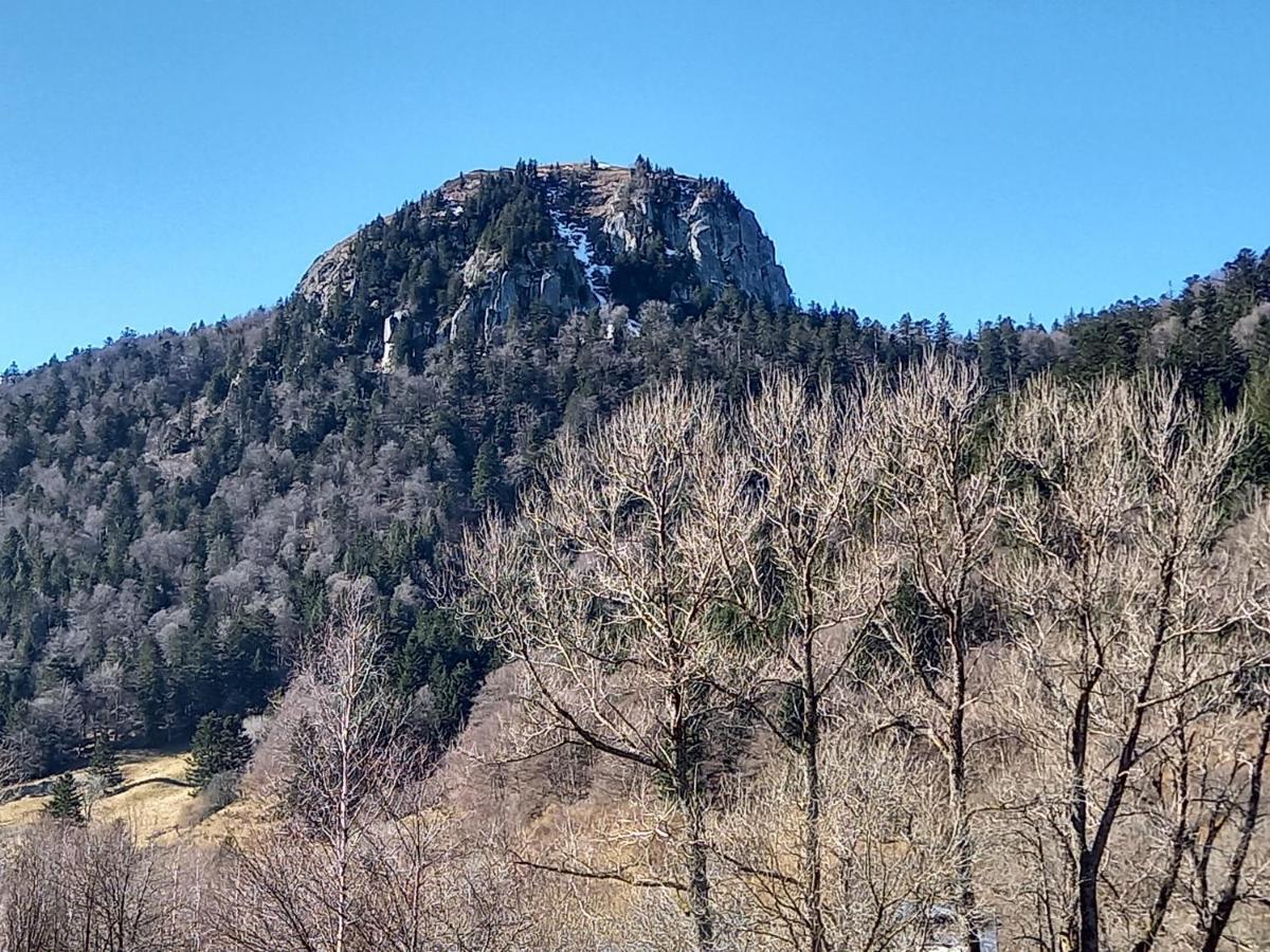Appartement Mont Dore Tout Confort, 2 Pieces, 4 Personnes Εξωτερικό φωτογραφία